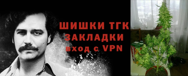 бошки Арсеньев